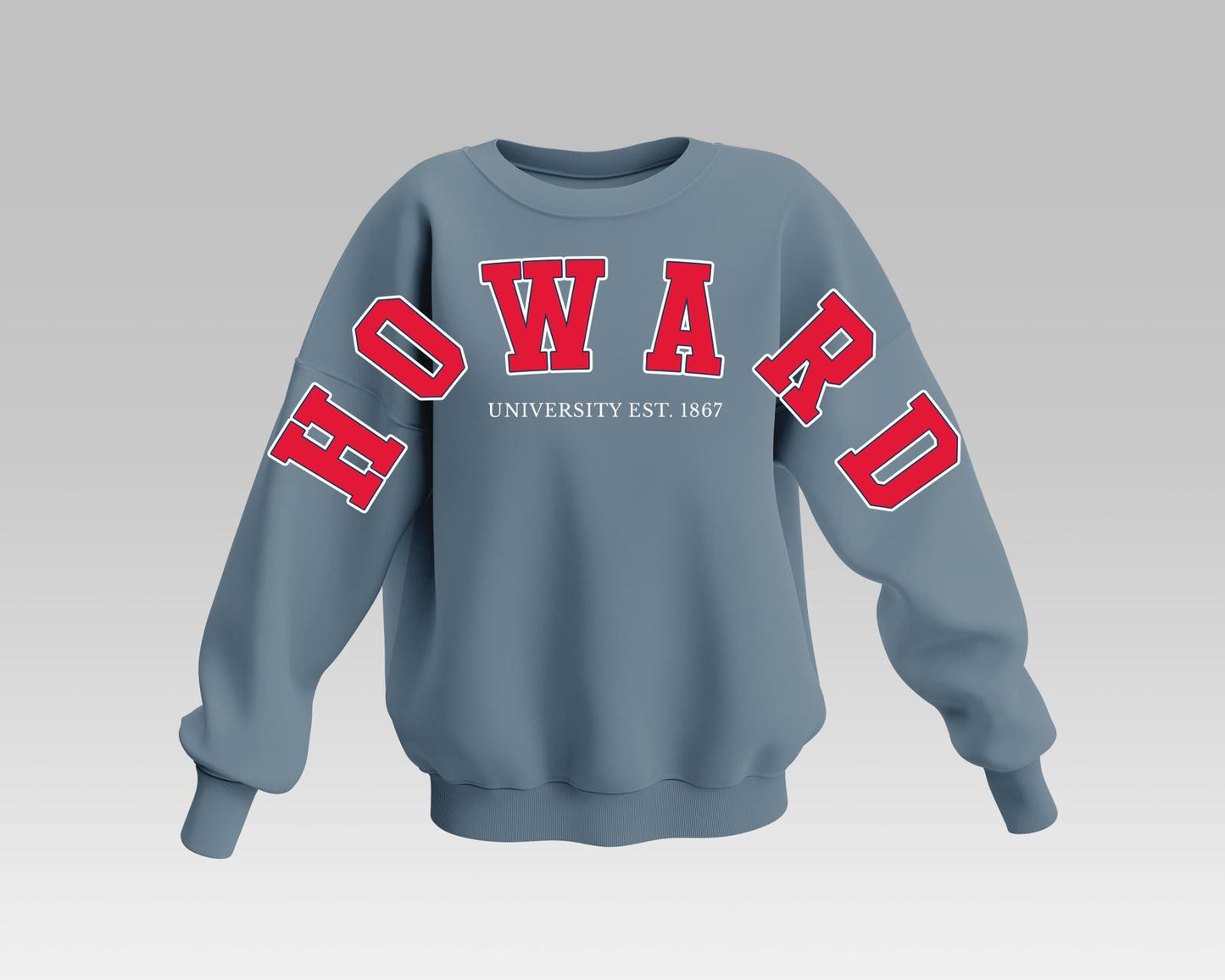 GRAY HOWARD BADDIE FULL SWEATSHIRT